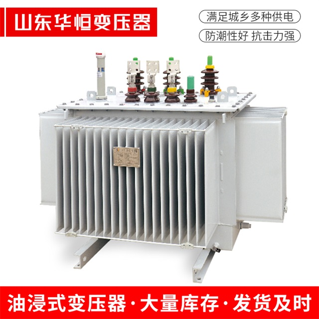S13-10000/35普洱普洱普洱电力变压器